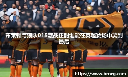 布莱顿与狼队018激战正酣谁能在英超赛场中笑到最后